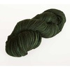 Conifer