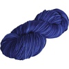 Delphinium